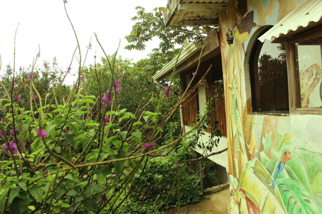 ホテル Casa Alquimia モンテベルデ エクステリア 写真
